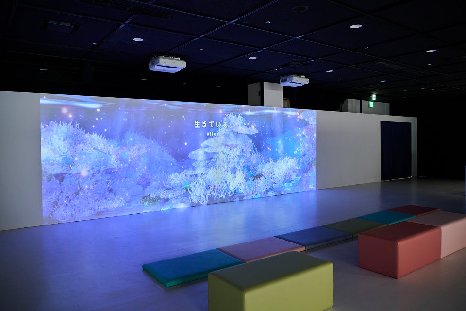 海游馆特别展“生命盘旋珊瑚展”